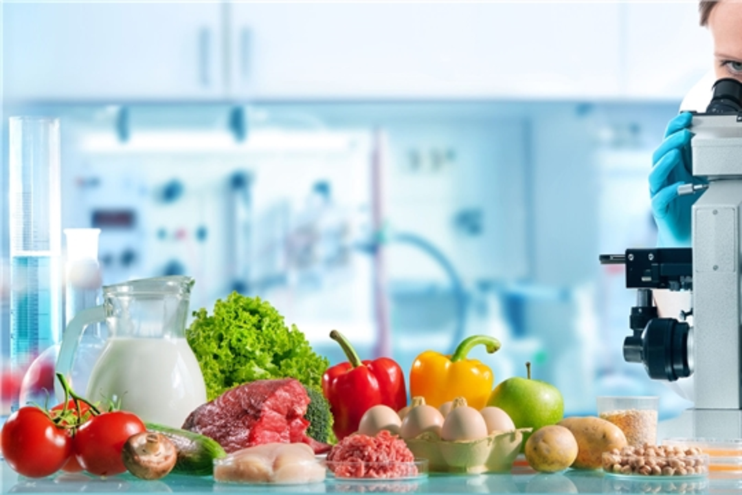 The Role of the Food Industry in Preventing Salmonellosis