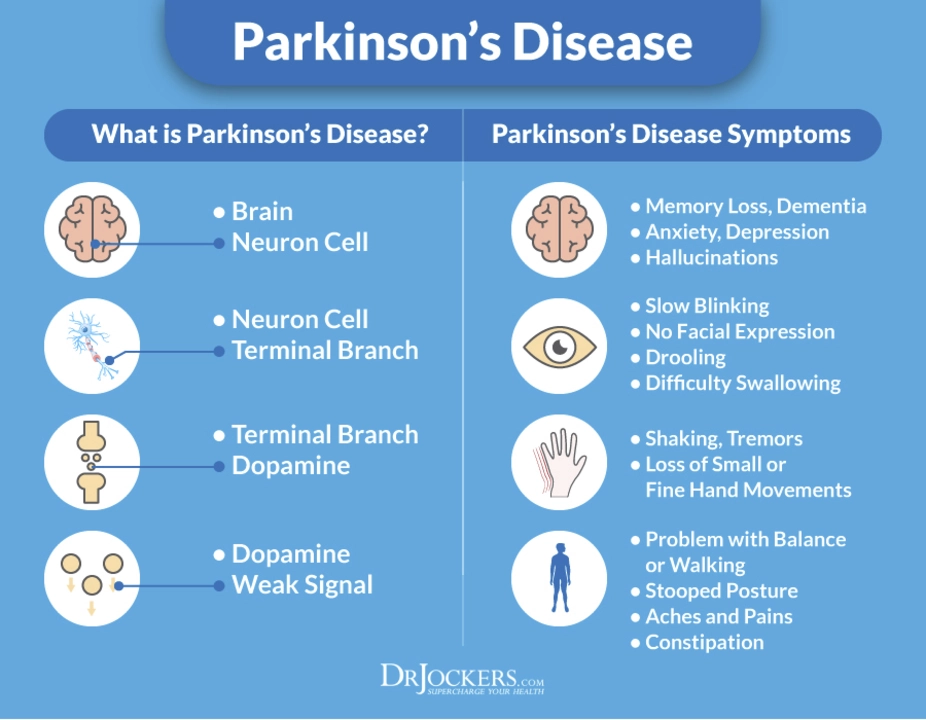 Amantadine and its impact on cognitive function in patients with Parkinson's disease